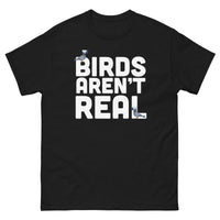 Birds Aren't Real Shirt - Paranoid American