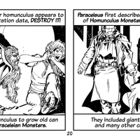 Homunculus Owner's Manual - Paranoid American