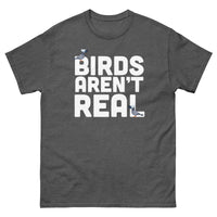 Birds Aren't Real Shirt - Paranoid American
