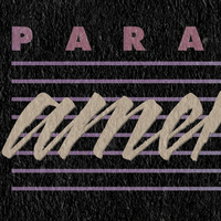 Paranoid American / Occult Book Club Bookmark - Paranoid American