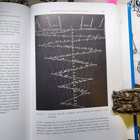 William Crookes (1832 - 1919) and the Commercialization of Science - Paranoid American